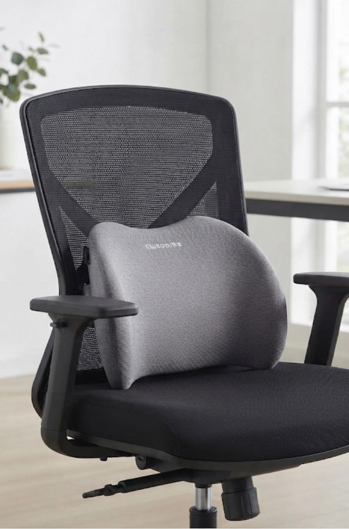 Memory Foam Pillow Seat