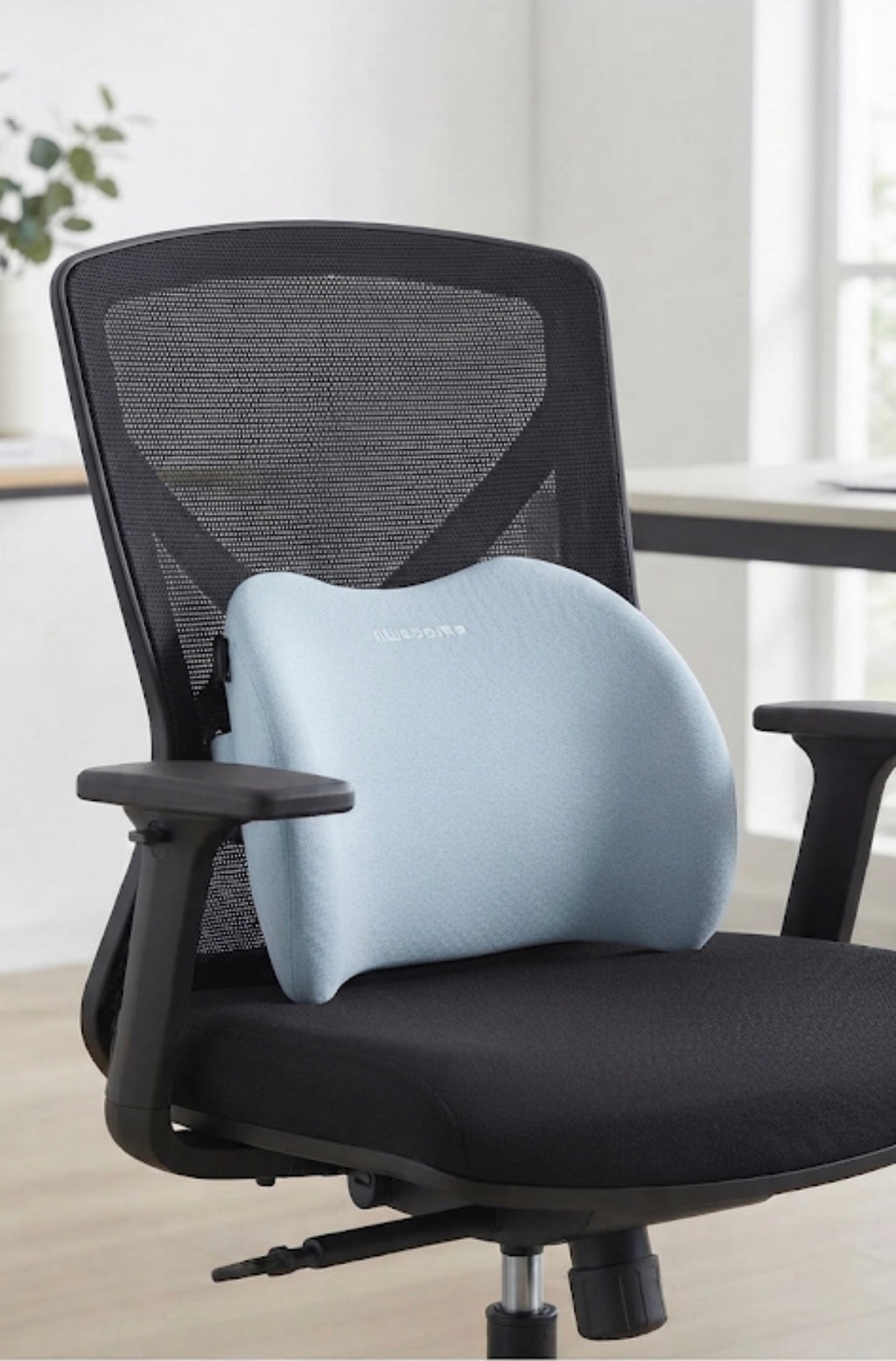 Memory Foam Pillow Seat